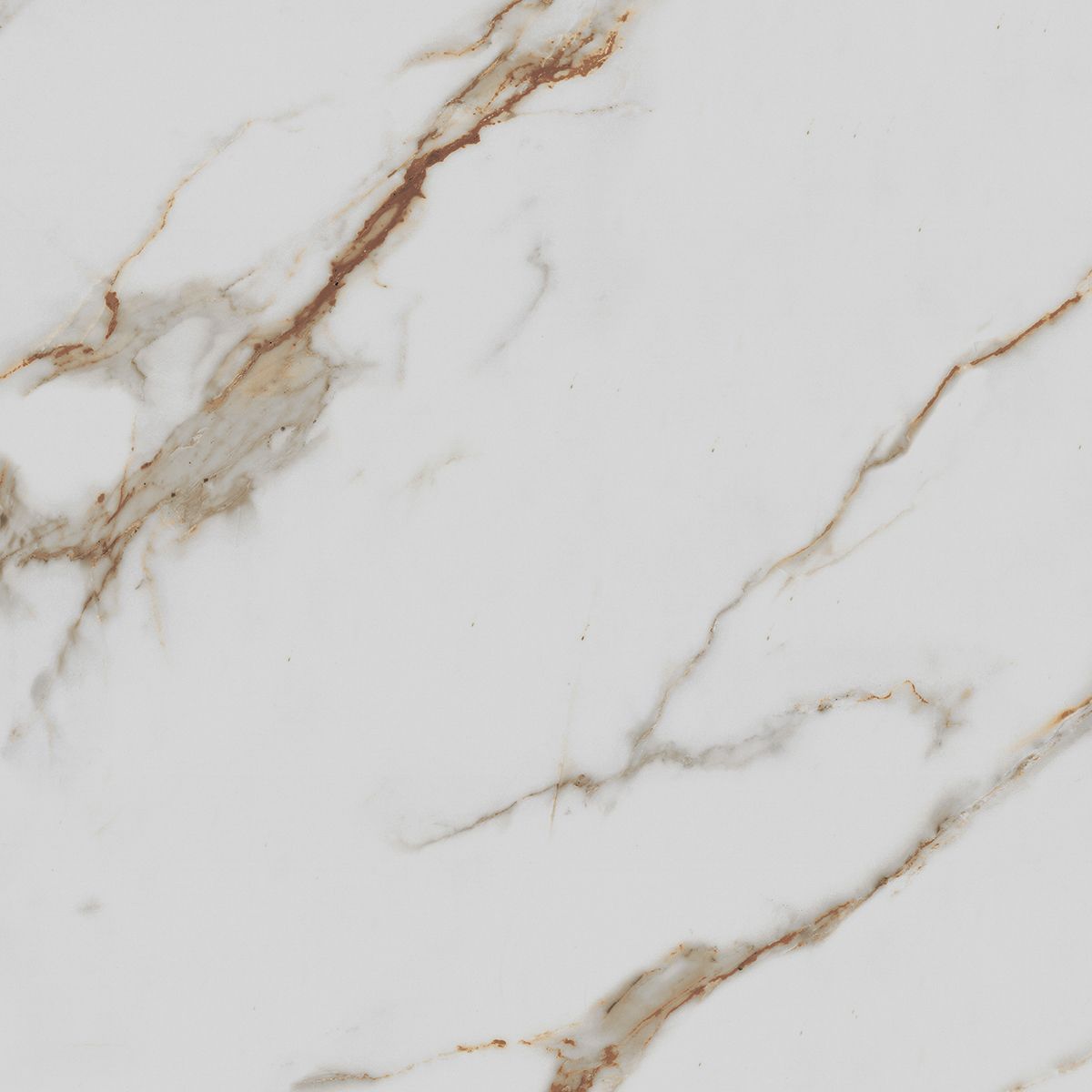 R_PR1003 Calacatta Gold Polished 60x60 Royce