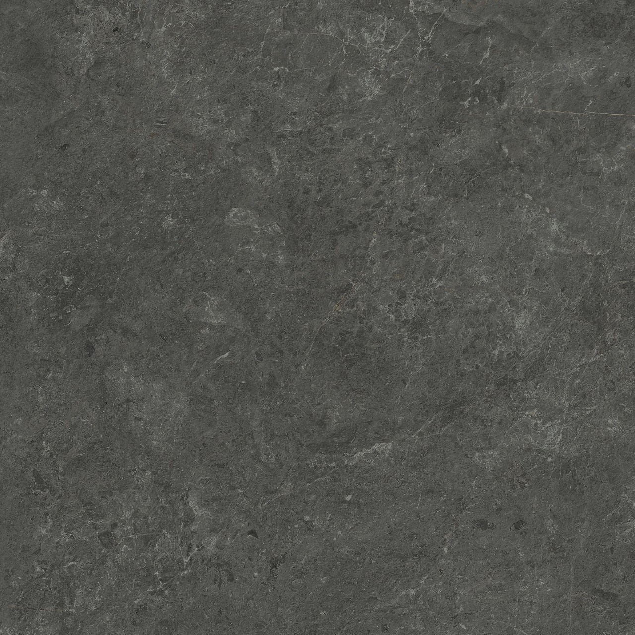 HCR7 Nyra Charcoal Matt 80x80 Atlas Concorde фото 2