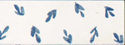 M96T Rice Bianco dec Leaf Lux 5x15 MARAZZI Italy