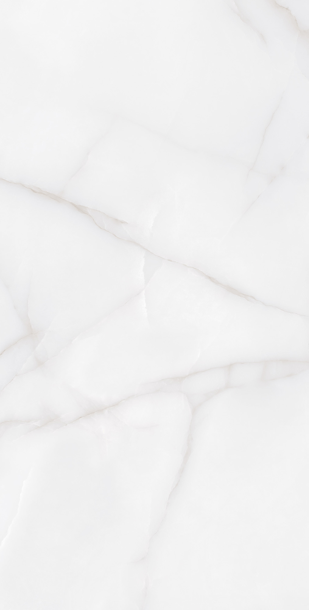 RT7012-A Feather Onyx Matt Rustic 60x120 Arcadia Ceramica