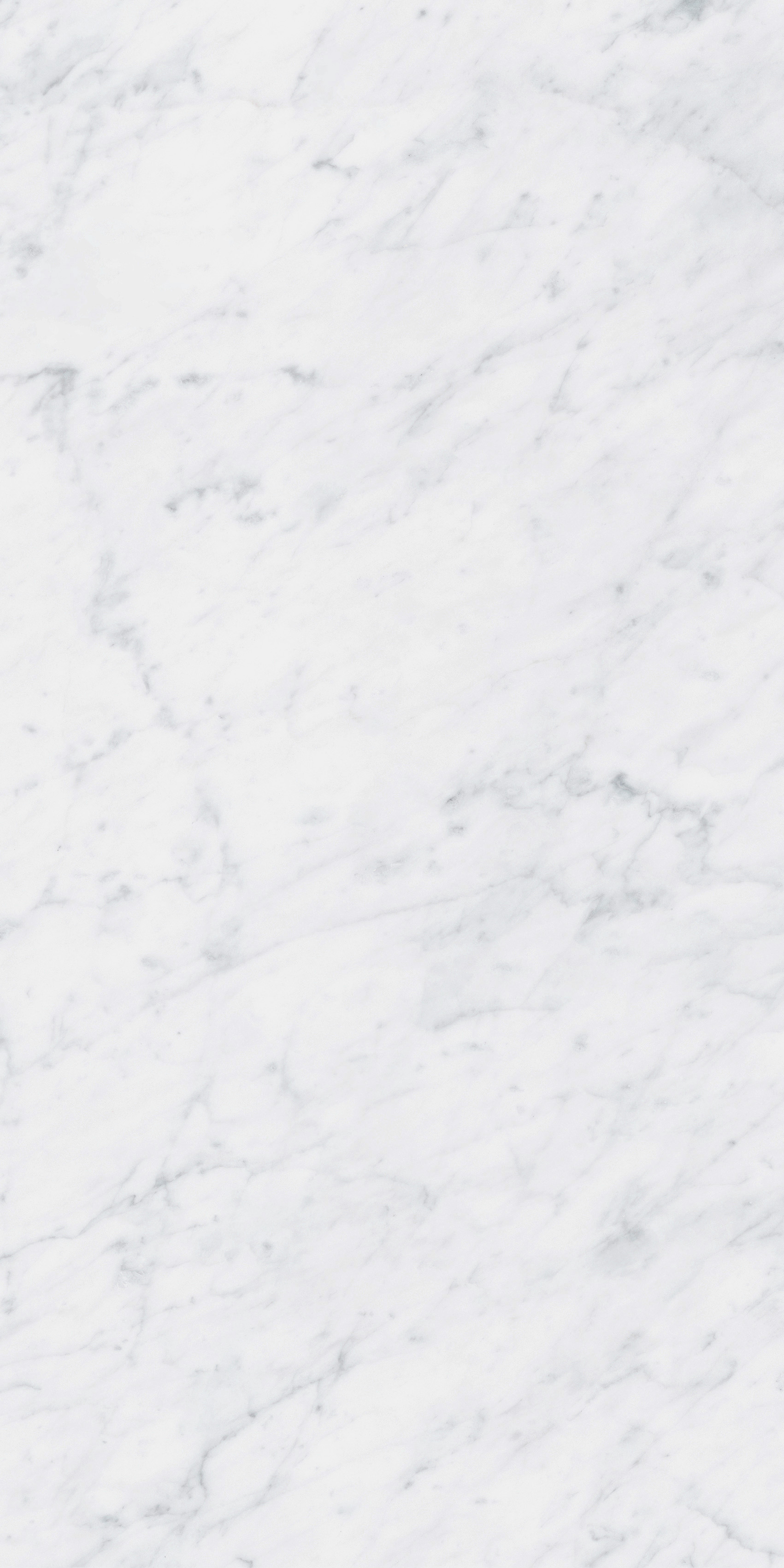 4101065 Italic Carrara 60x120 41ZERO42