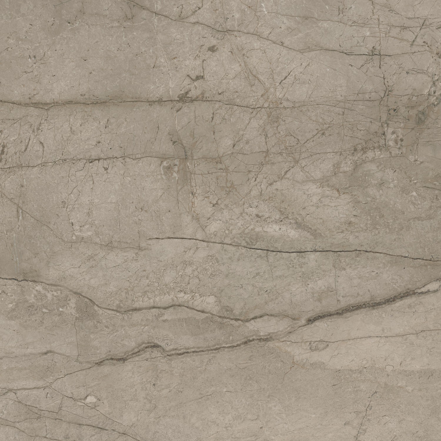 610015000650 Forte dei Marmi Mystic Grey 80x80 Atlas Concorde Russia
