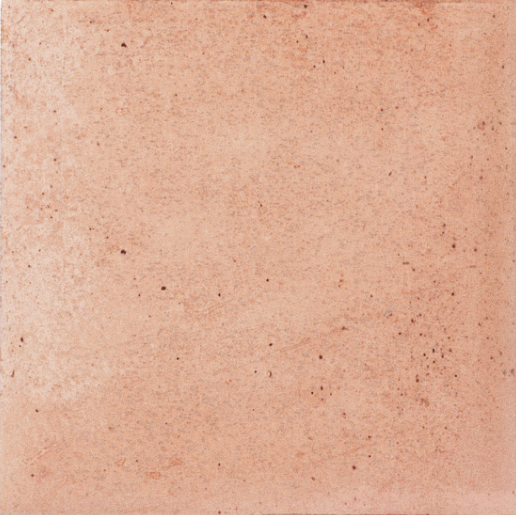 30819 Raku Nude 10x10 EQUIPE