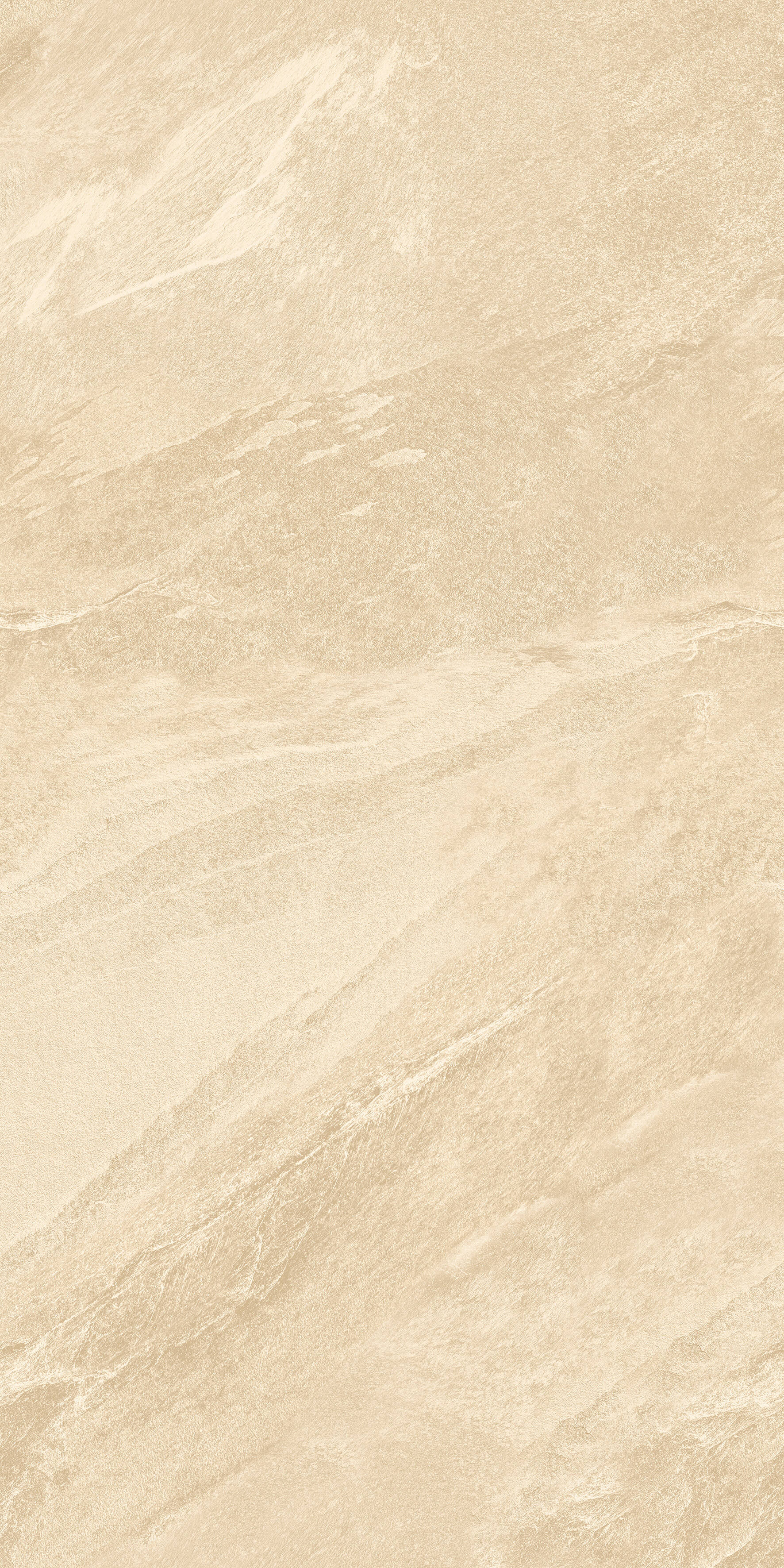 1209 Calcare Ivory Matt 120x60 Artcer фото 3