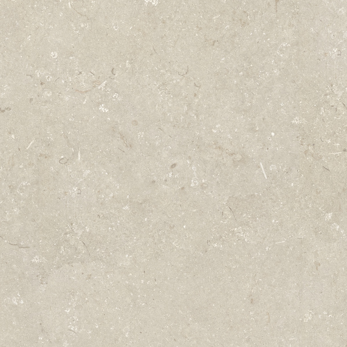 005848 Shellstone Beige 120x120 Dado Ceramica