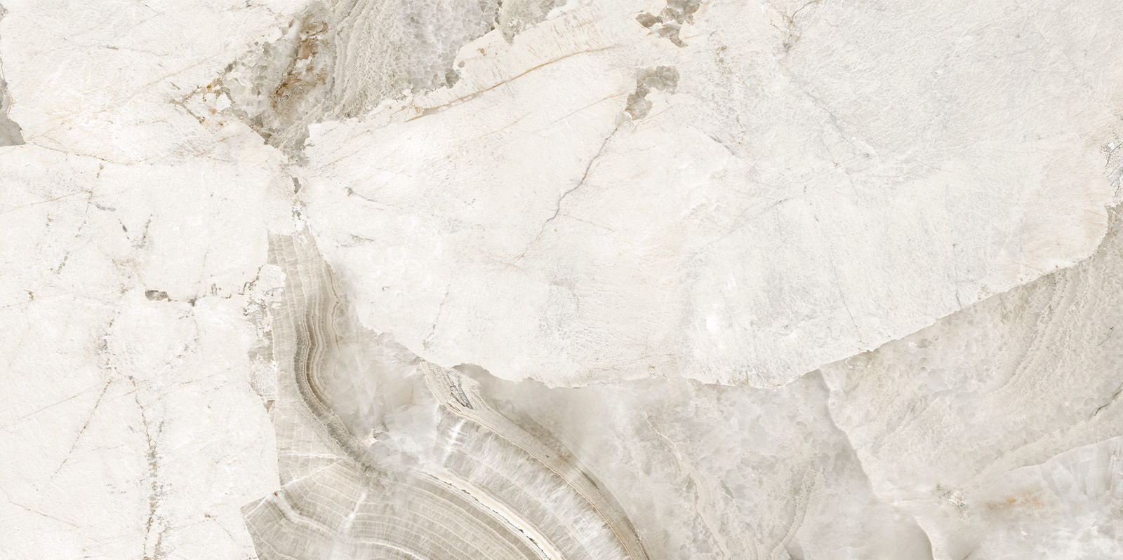 D120256LG Seashell лаппатированный граниль 600x1200x9.5 New Trend