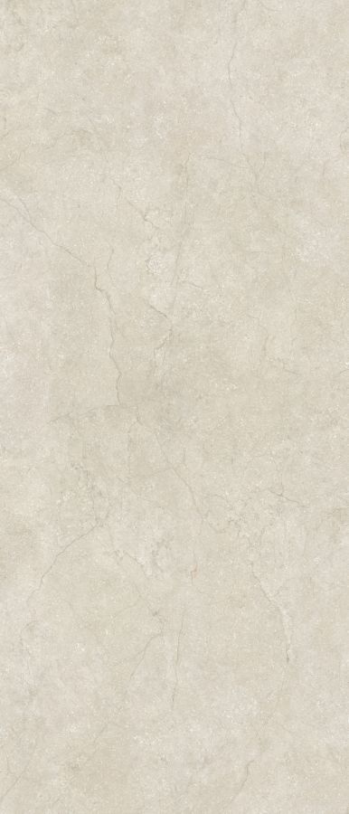 778707 Stone Life Shell Matte Ret 6mm 120x280 Cerim