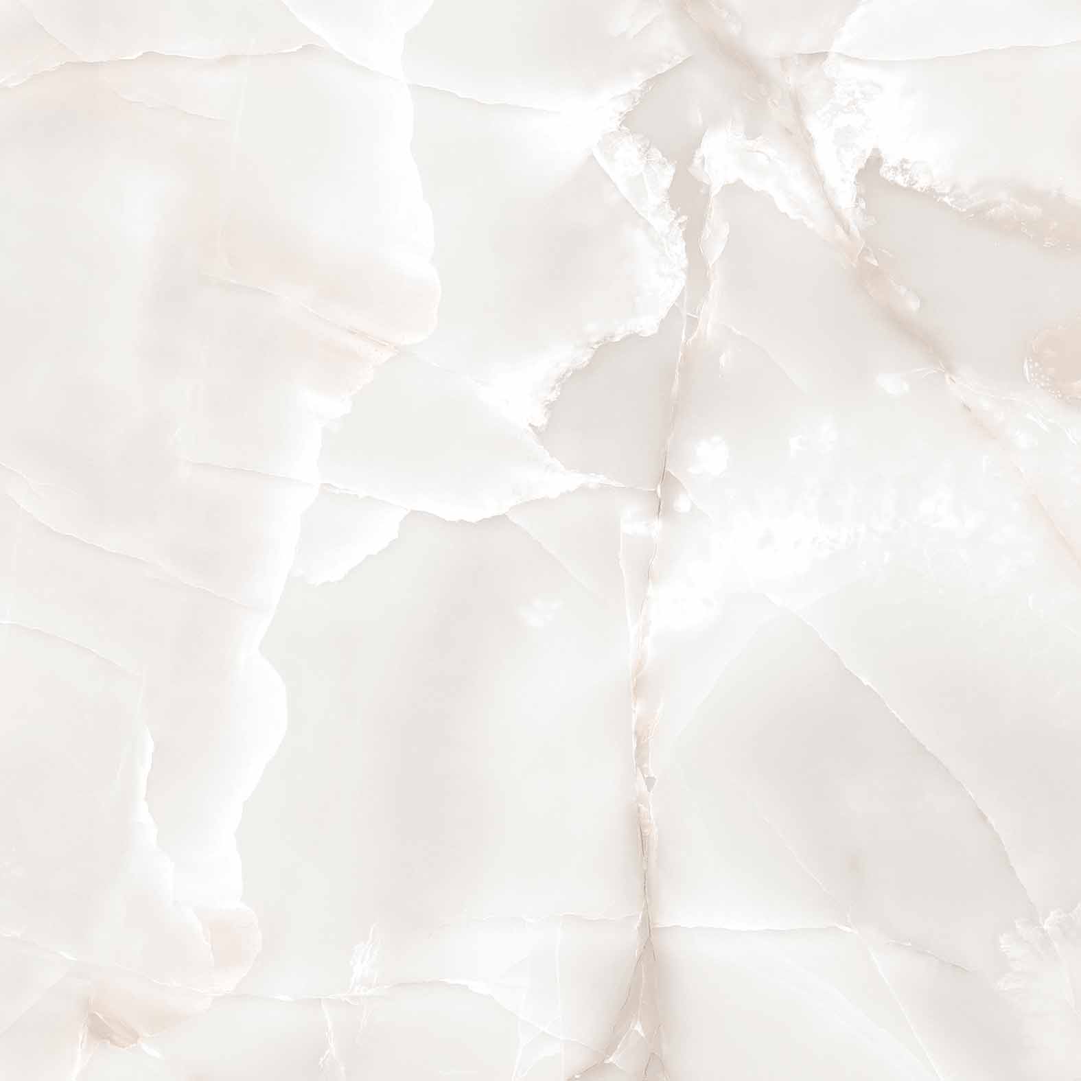 RT6005-A Primo Onyx Grey Matt Rustic 60x60 Arcadia Ceramica фото 6