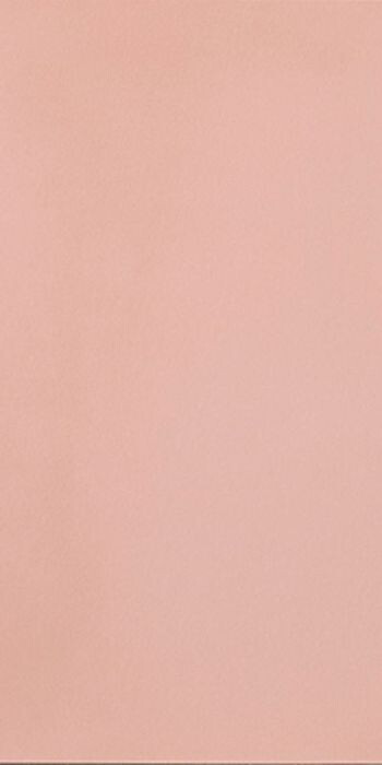 11720035 R-Evolution Light Pink 9mm 60x120 Casalgrande Padana