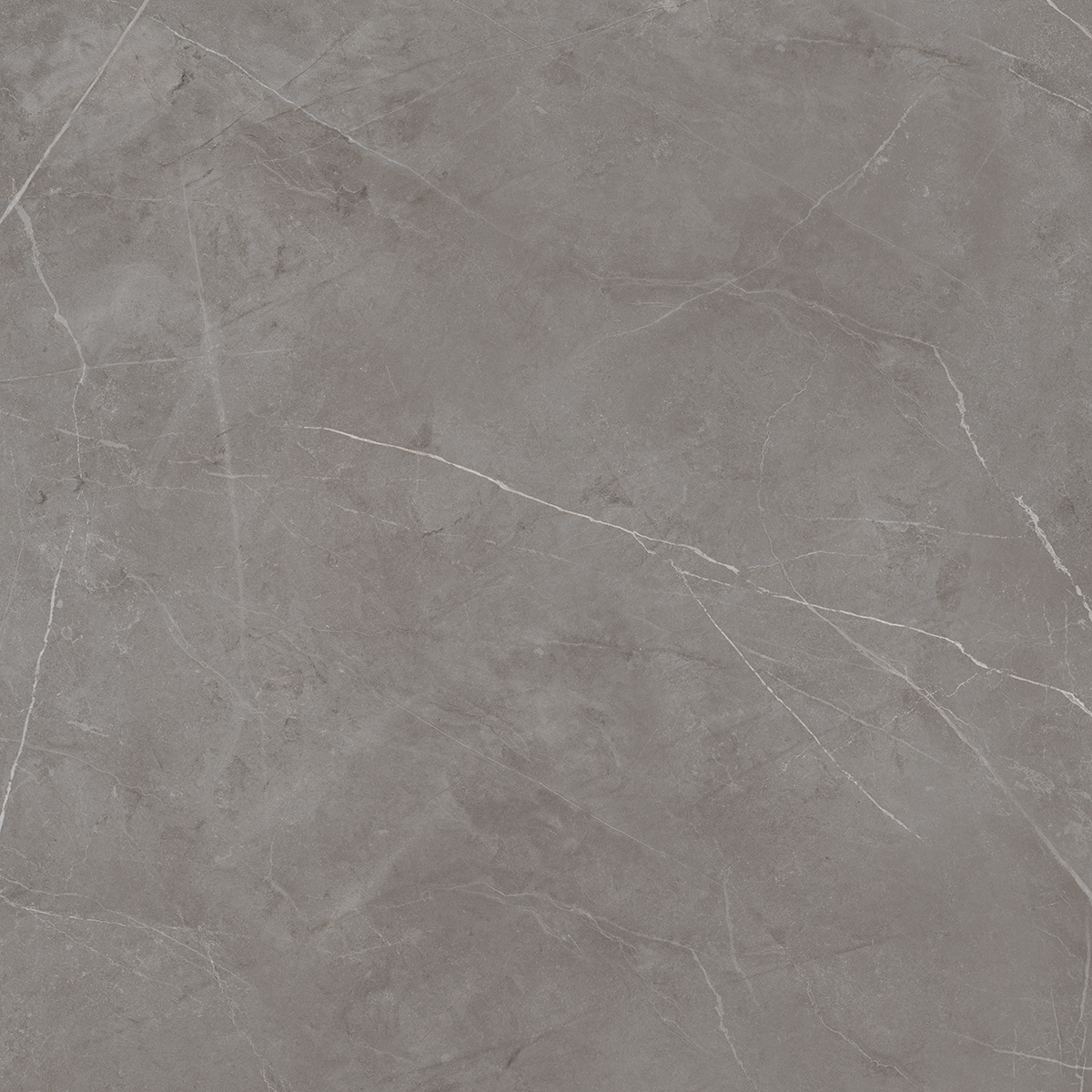 NL03 Nolana Dark Grey Неполированный Рект. 60x60x9  Estima фото 9