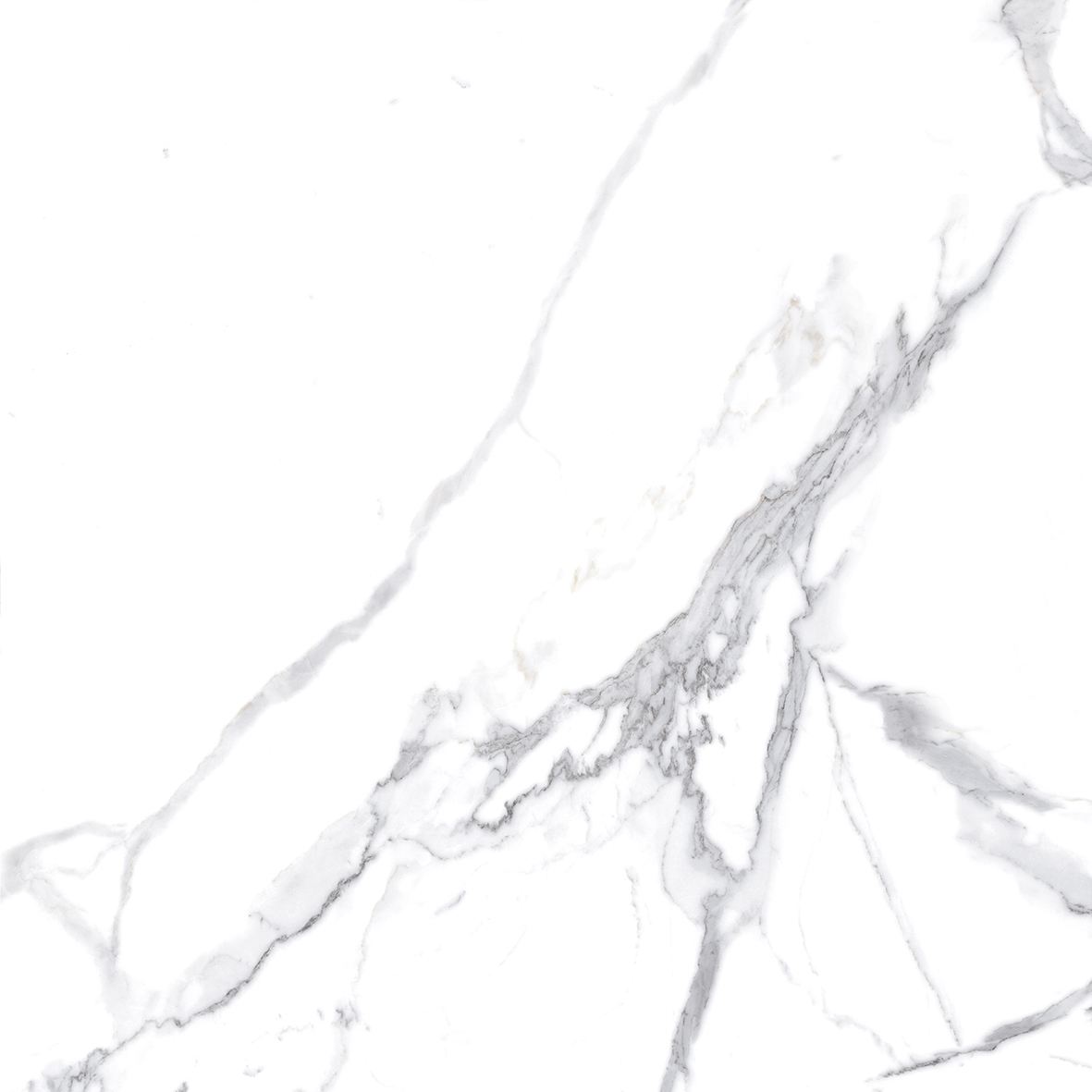 Calacatta Splendid Silver Белый Полированный 80х80 Ceradim