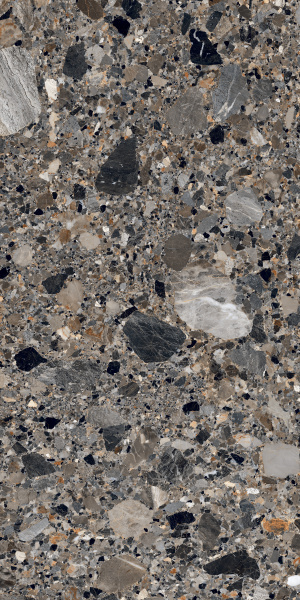 210039 Ceppo Natural Polished 60x120 Concor