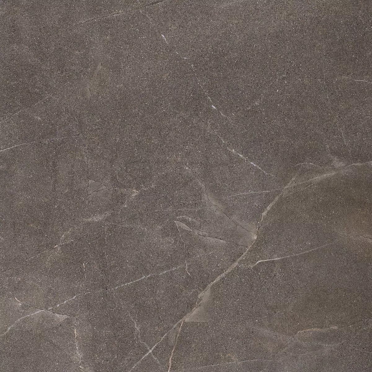 Pulpis Dark Grey 60x60 Prime Ceramics