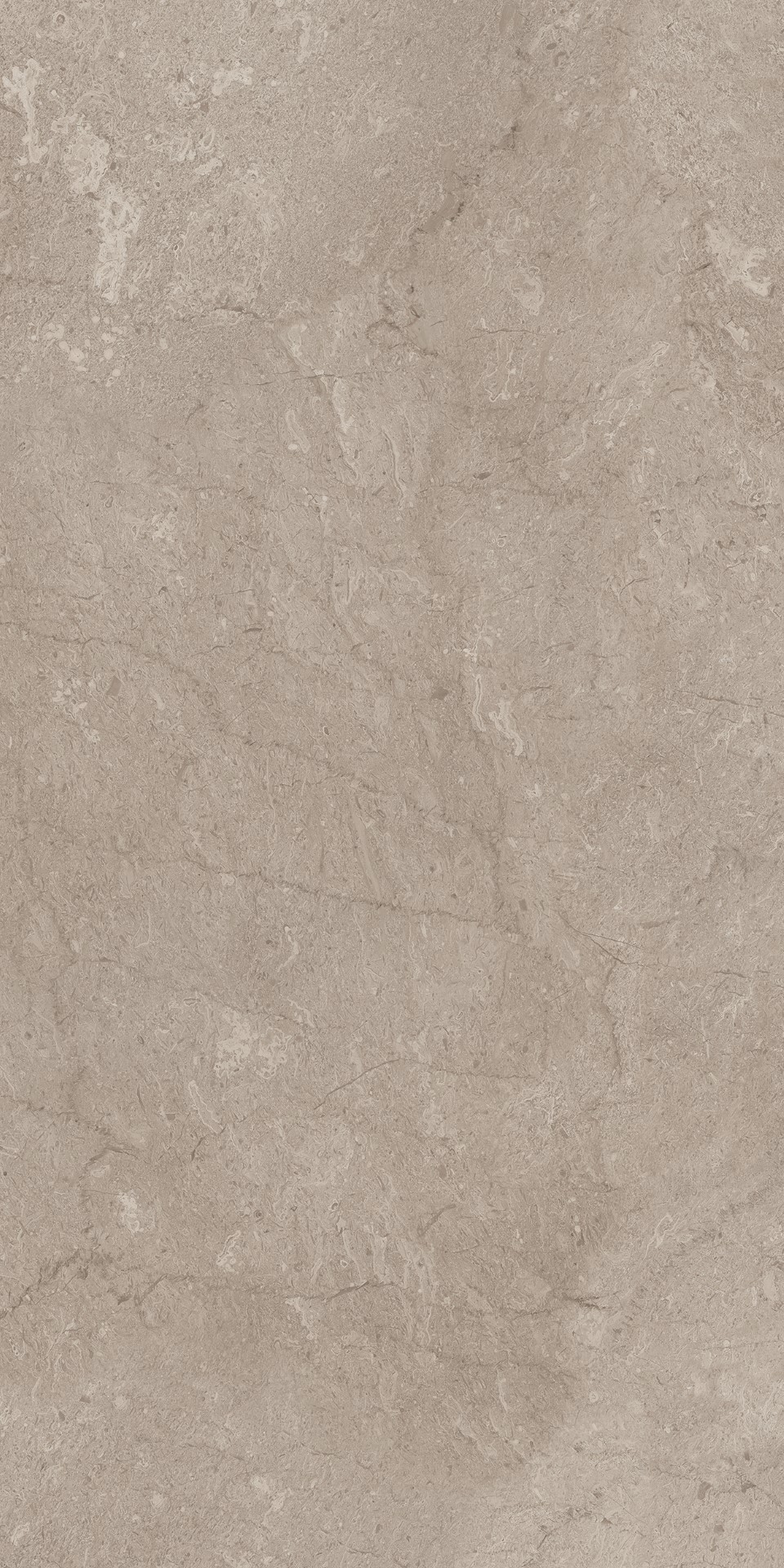 AEM02 Элемента Серый Неполированный Рект 60x120x9 Ametis by Estima фото 8