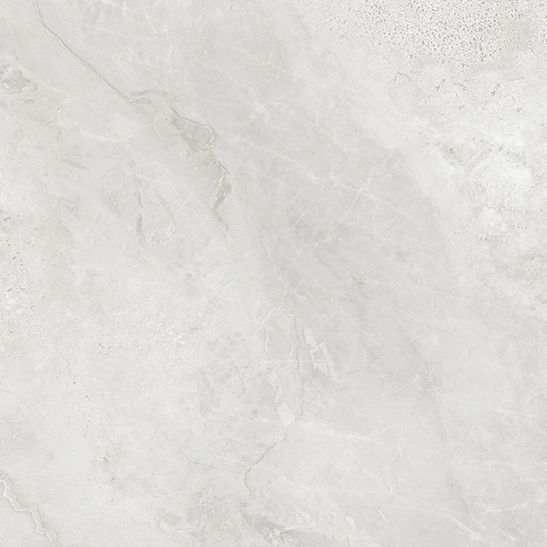 AB1206G Canoli Gloss 600x600 Absolut Gres