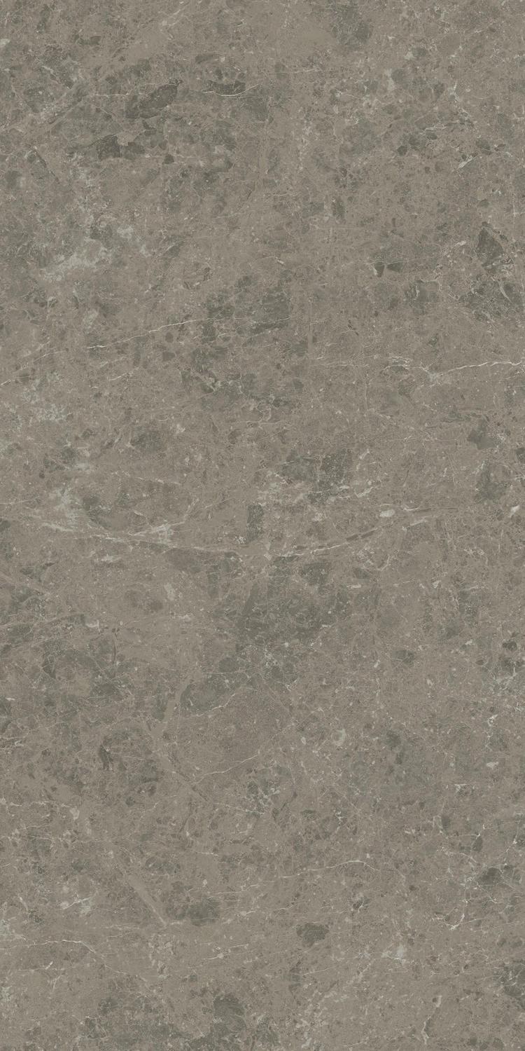 AJIU Marvel Meraviglia Grigio Elegante Matt 60x120 Atlas Concorde