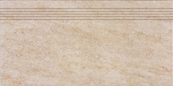 DCPSE629 beige 30x60 RAKO