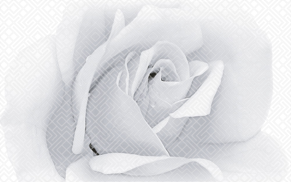 010301001885 Камелия чёрный декор 02 25х40 Gracia Ceramica