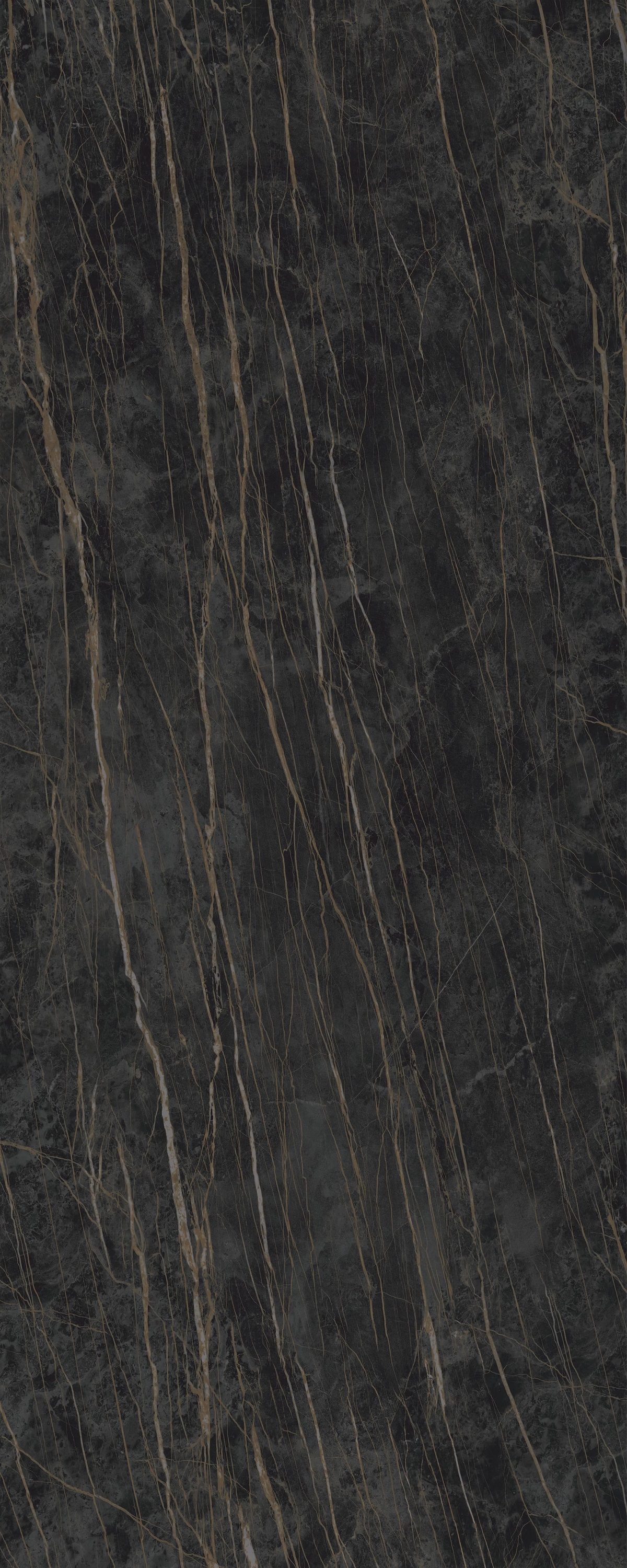 LAMFF01473_IT I Naturali Noir Desir Lucidato 5 1200x3000 Laminam