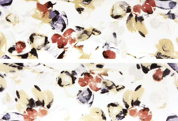 WITVE008 Majolika 20x60 RAKO
