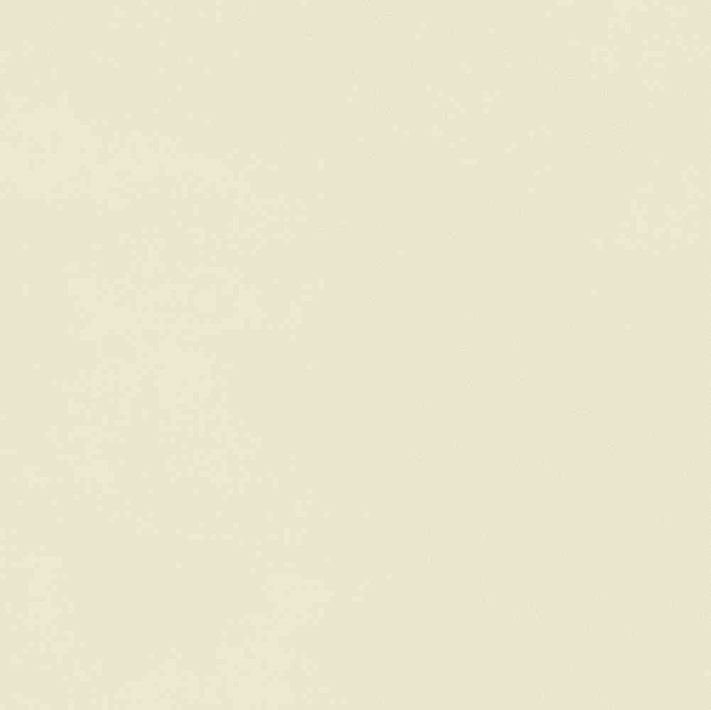 ENCLR6081MT2020 Corsica Beige Matt 200х200х8 Ennface фото 28