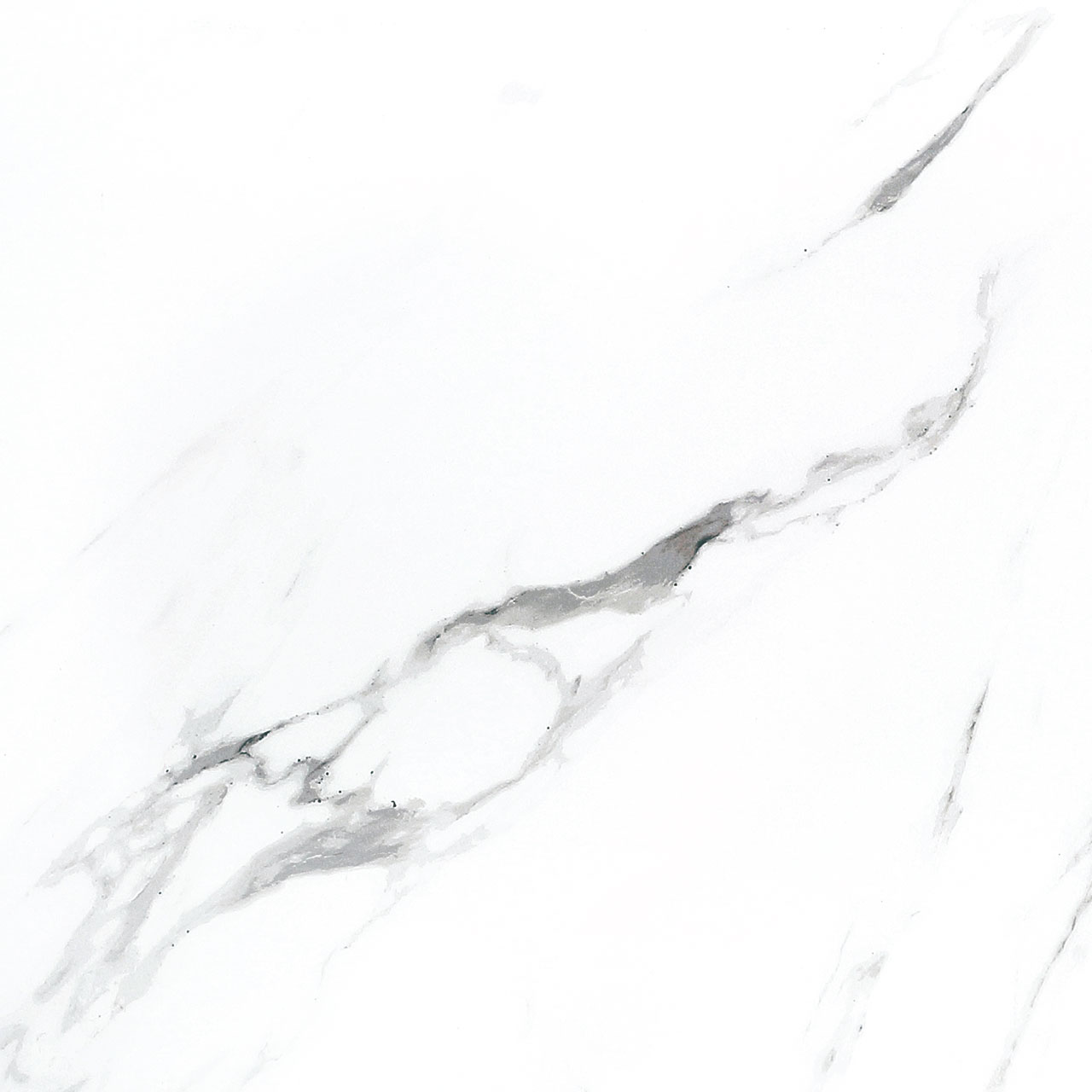 BB6NTT9100P Bright And Shiny 60x60 NT Ceramic