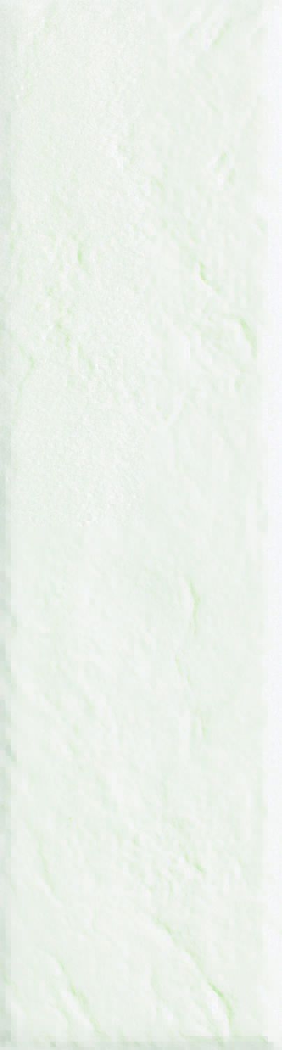 Scandiano Bianco Elewacja 24,5x6,6x1,1 Paradyz