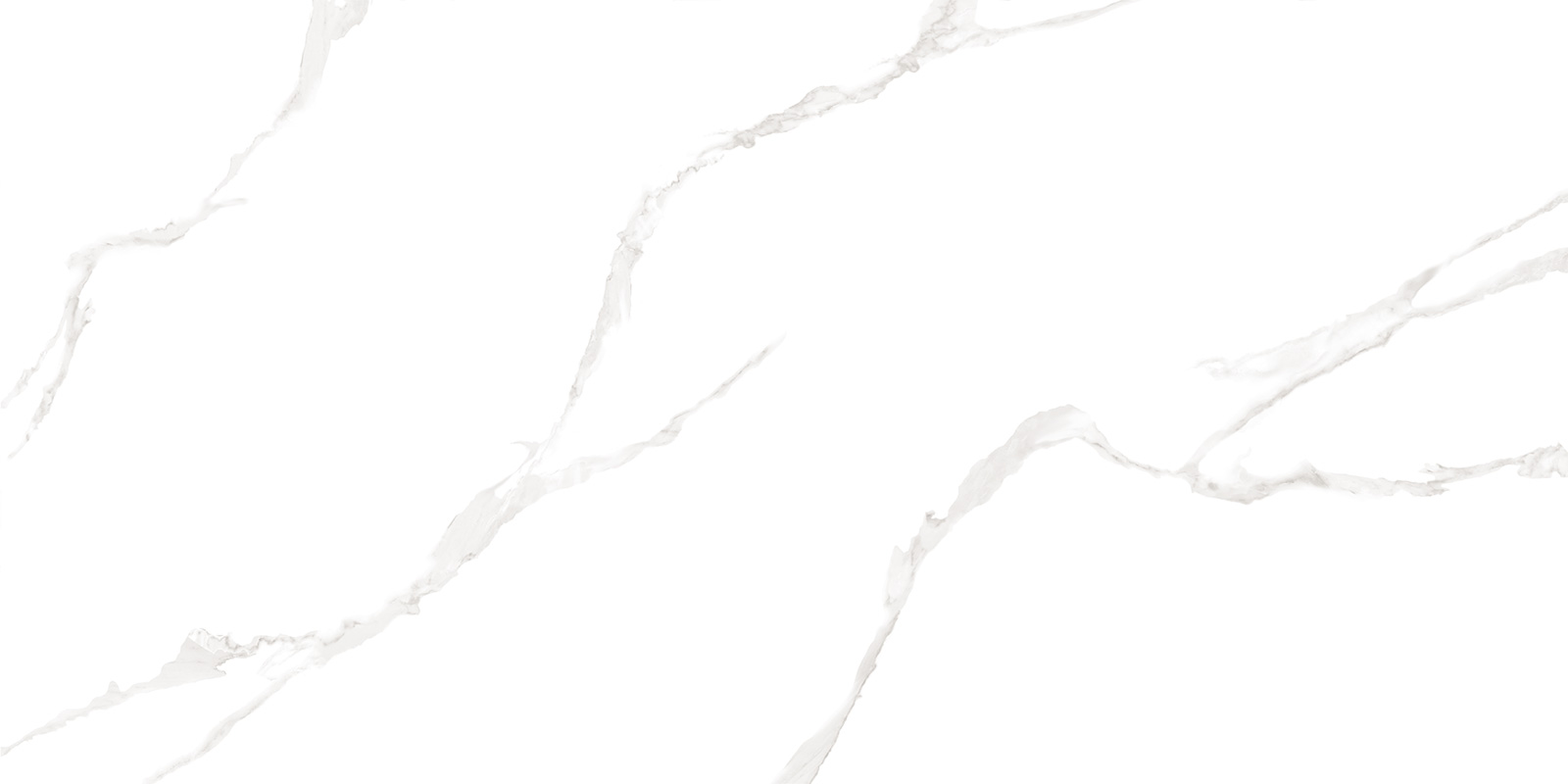 WT9ELT00 Elemento Bianco Carrara 250*500*9 AltaCera