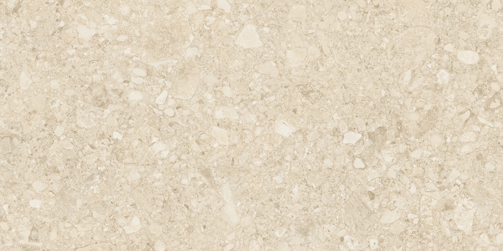 Ceppo Di Clay GHR 60x120 Duna
