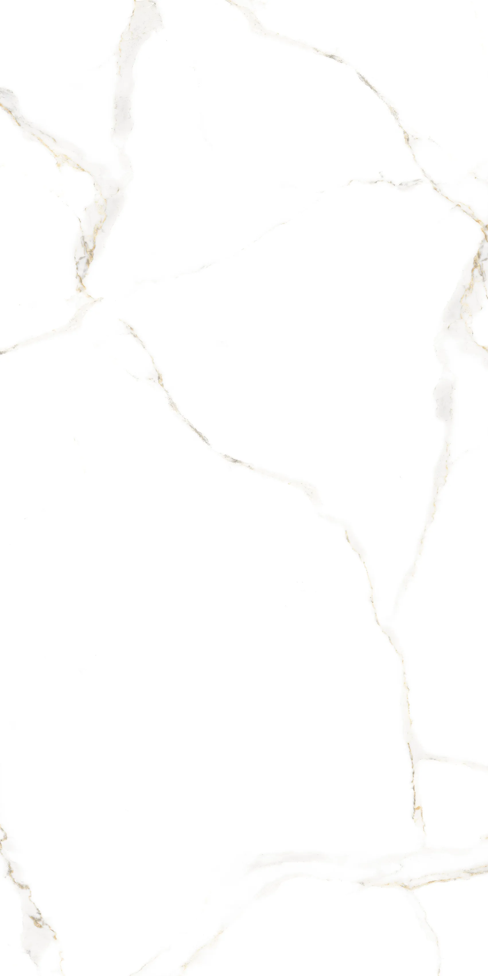 Satvario Lite White 60x120 Velsaa фото 5