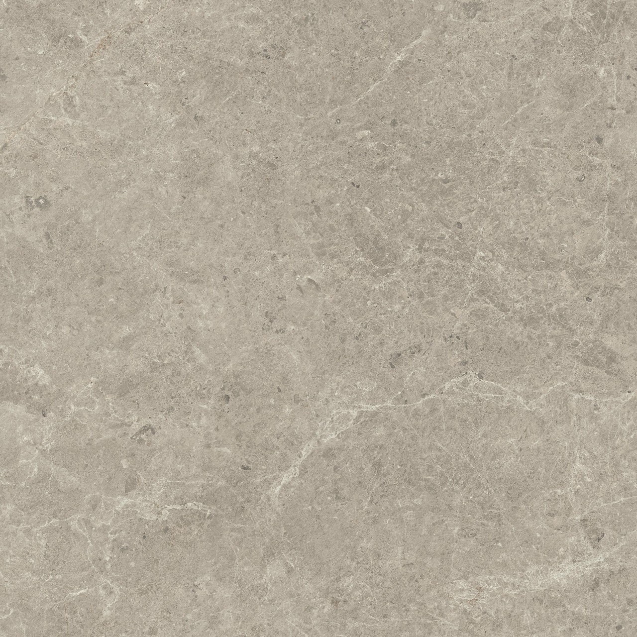 HCQ0 Nyra Mist Matt 120x120 Atlas Concorde фото 4