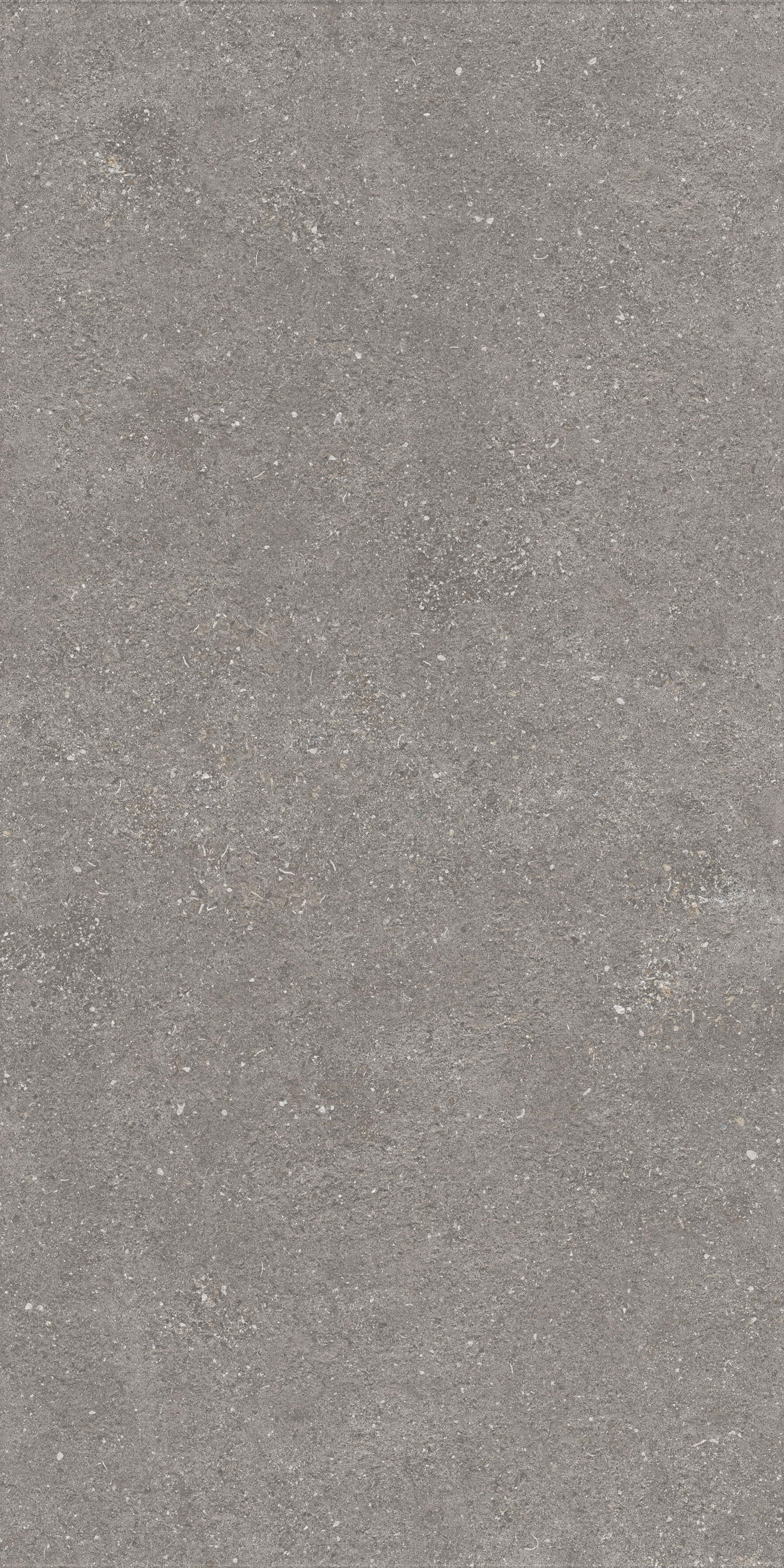 1224 Graniti Grey Matt Ghr 120x60 Artcer фото 5