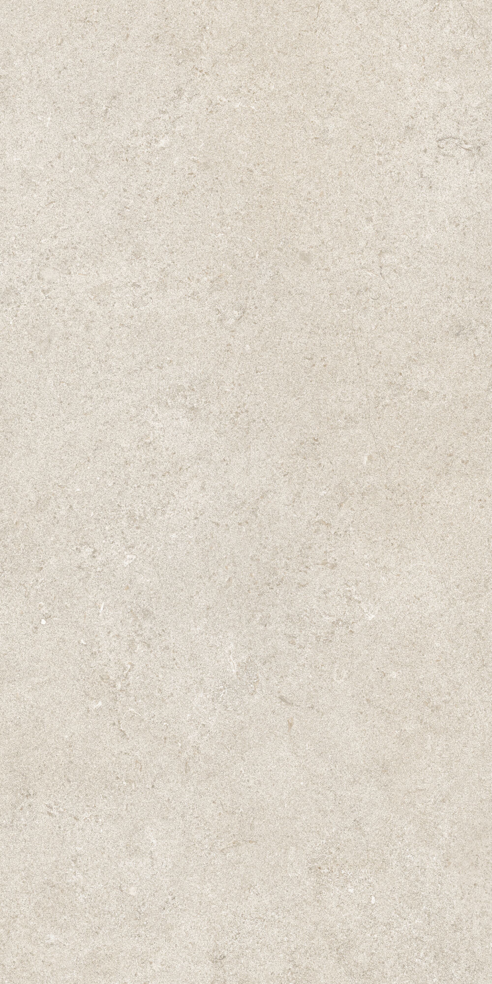 36902 Cluny Beige 4D/50X100X2/A/R 50x100 Peronda фото 7