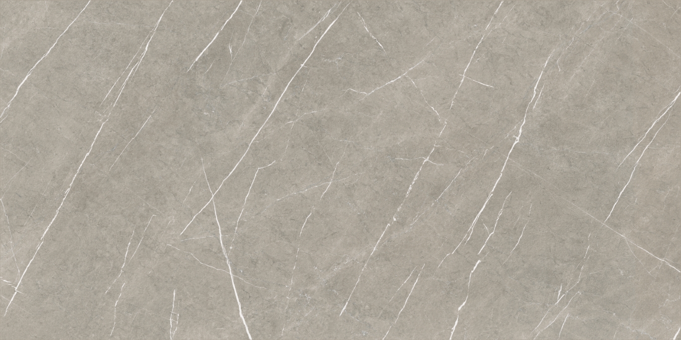 Eternal Taupe Natural 80x160 Baldocer