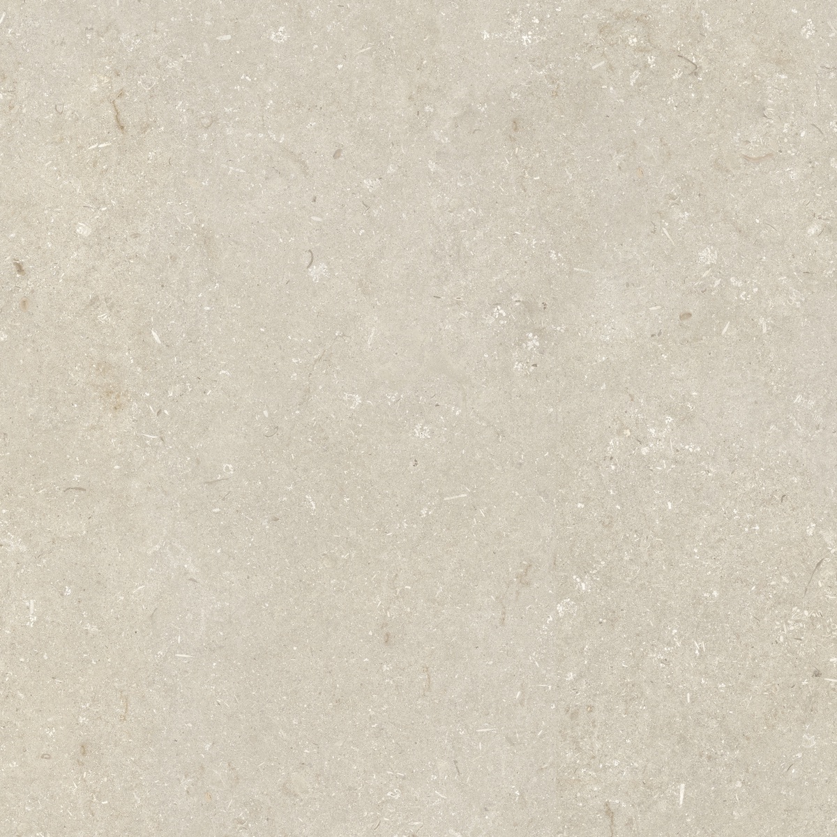 005848 Shellstone Beige 120x120 Dado Ceramica