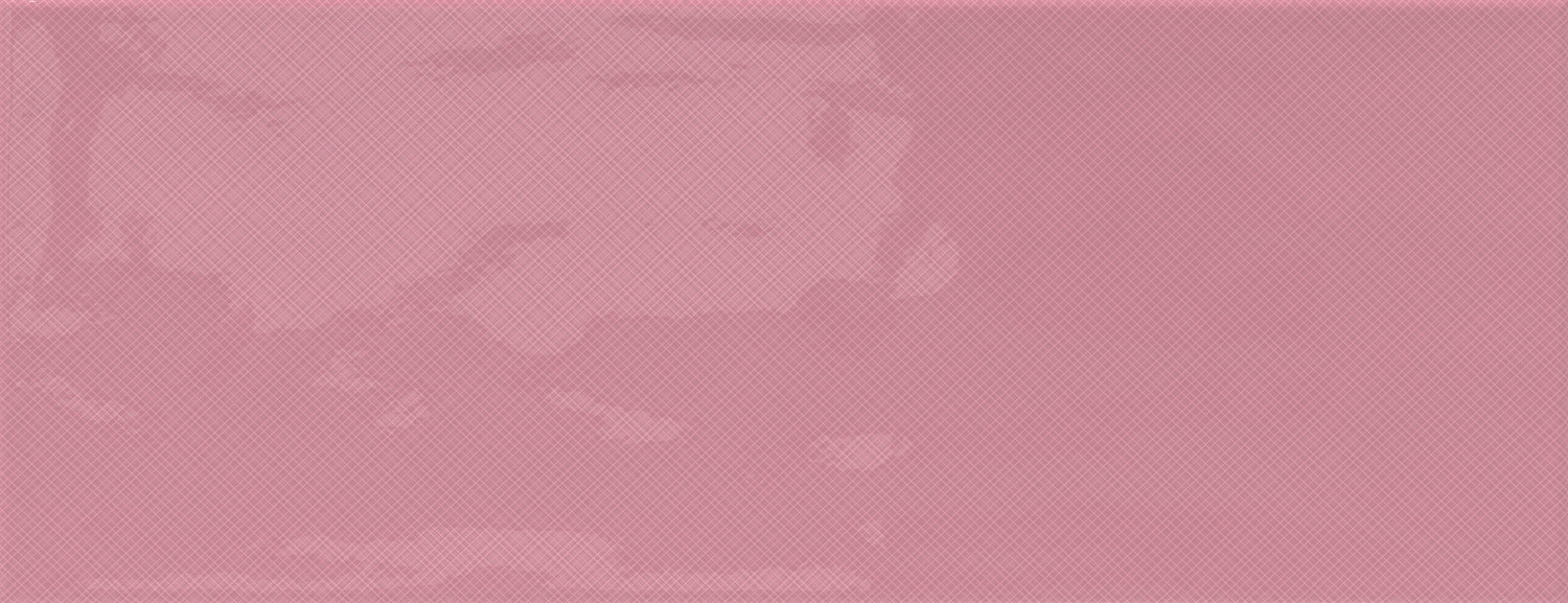 Rev. DIVERSO ROSA SLIMRECT PRI 25x65 Azulev