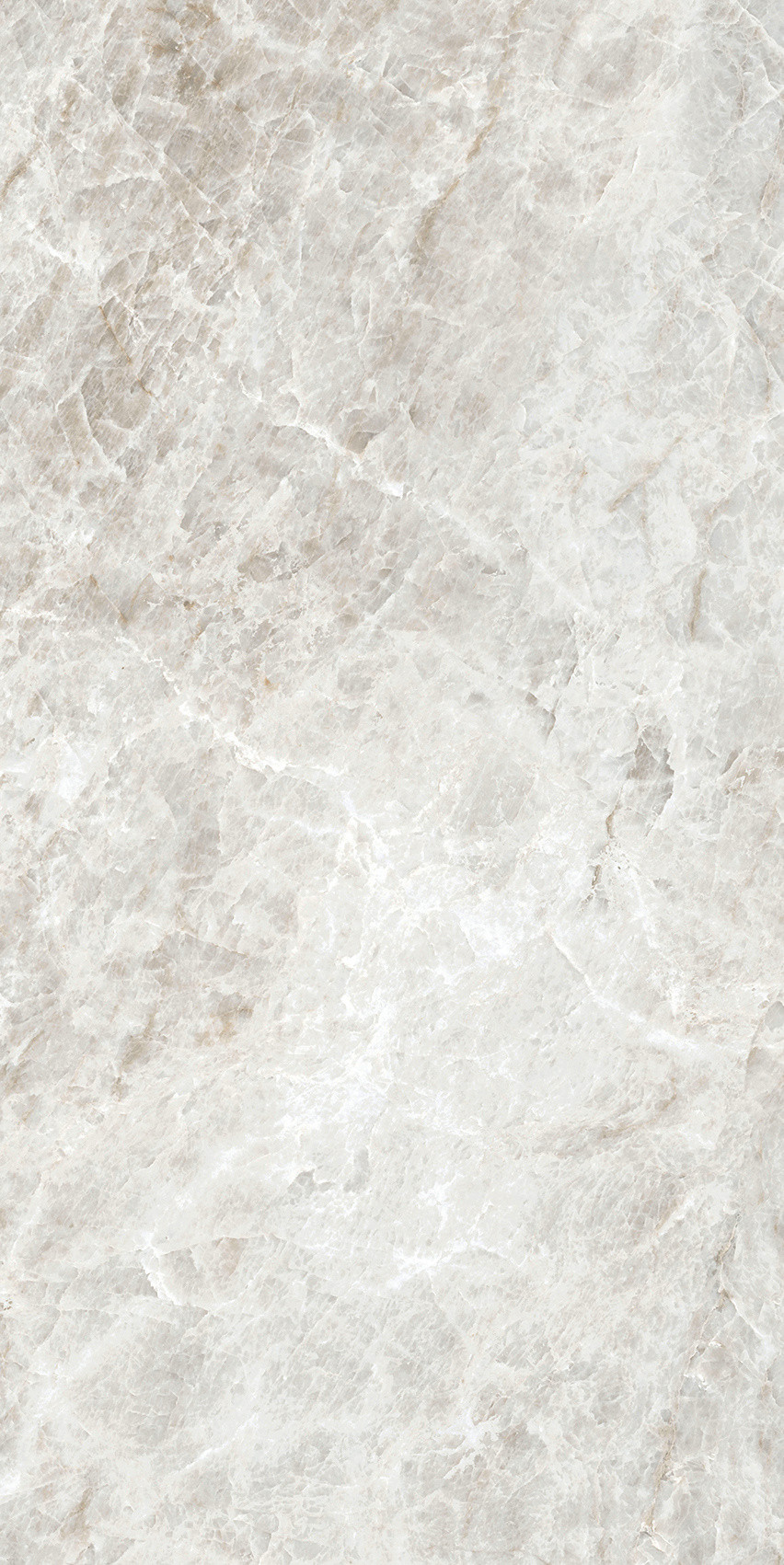 784553 Iconic Life Rice Yamuna Glossy 30x60 Cerim фото 11