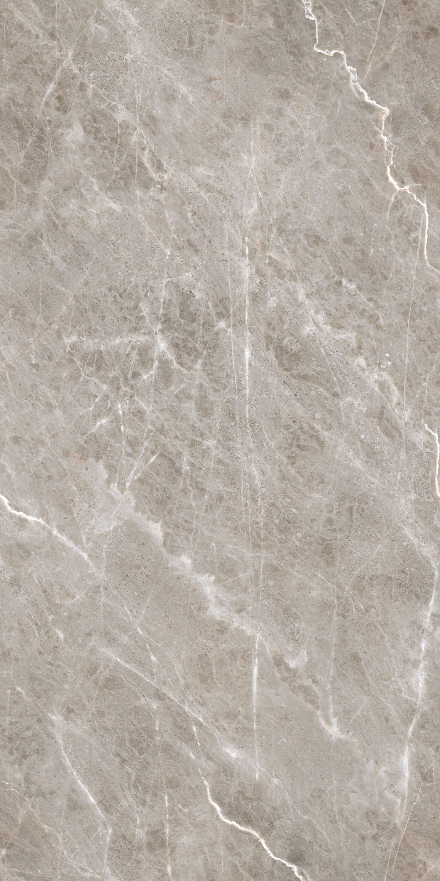 Burgass Brown Carving 60х120 Embito Granito