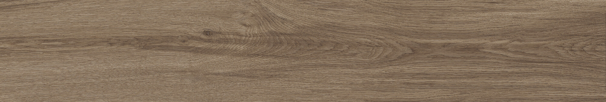 41729 Bloom Cognac SP/24x151x0,9/R 24x151 Peronda