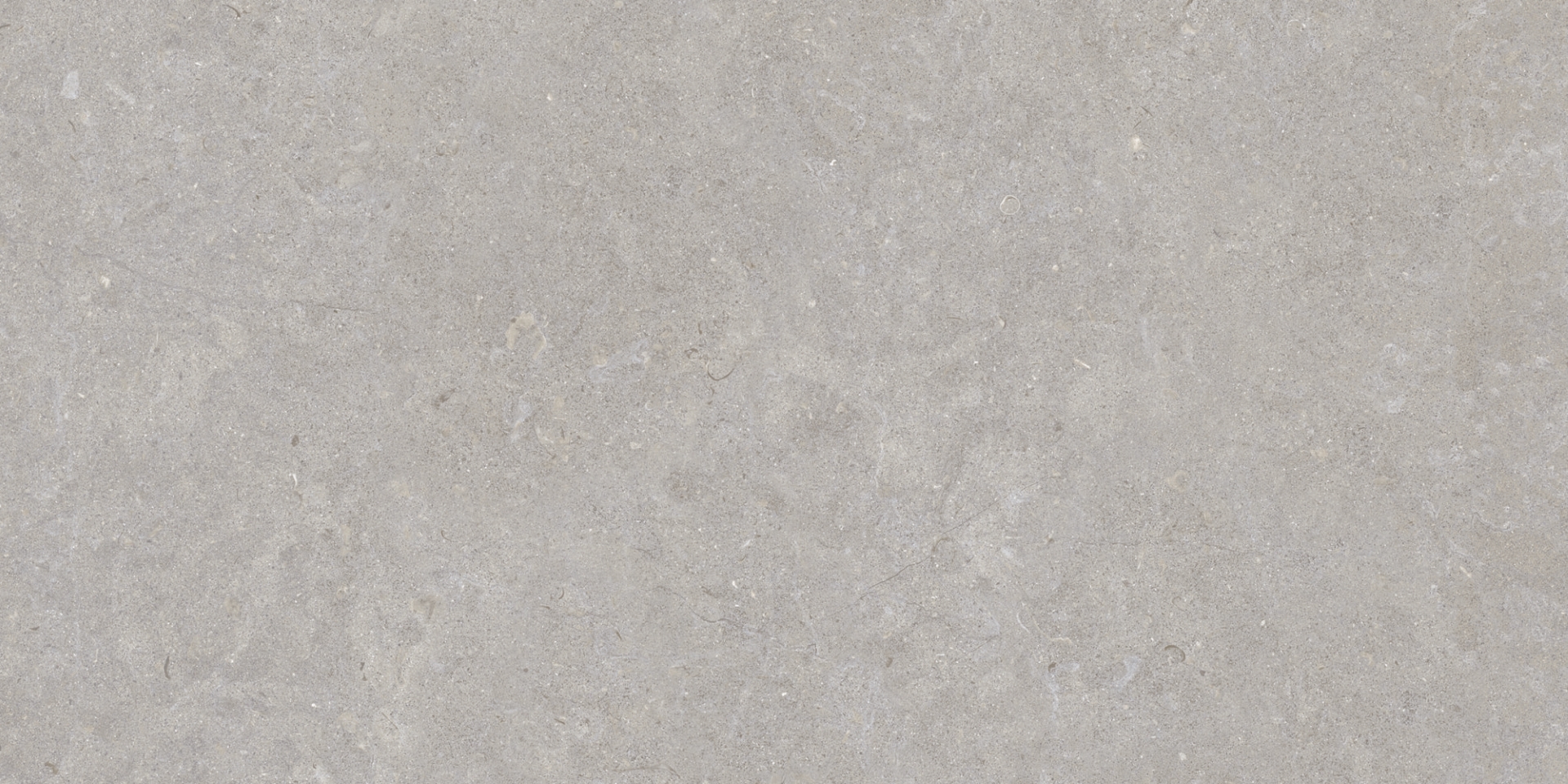 35568 Ghent Grey/50X100X2/A/R 50x100 Peronda фото 6