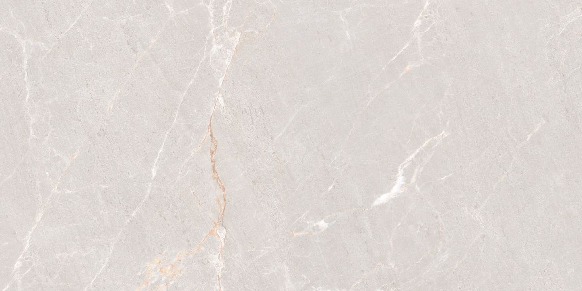 N20552 Persian Grey Matt 60x120 Neodom