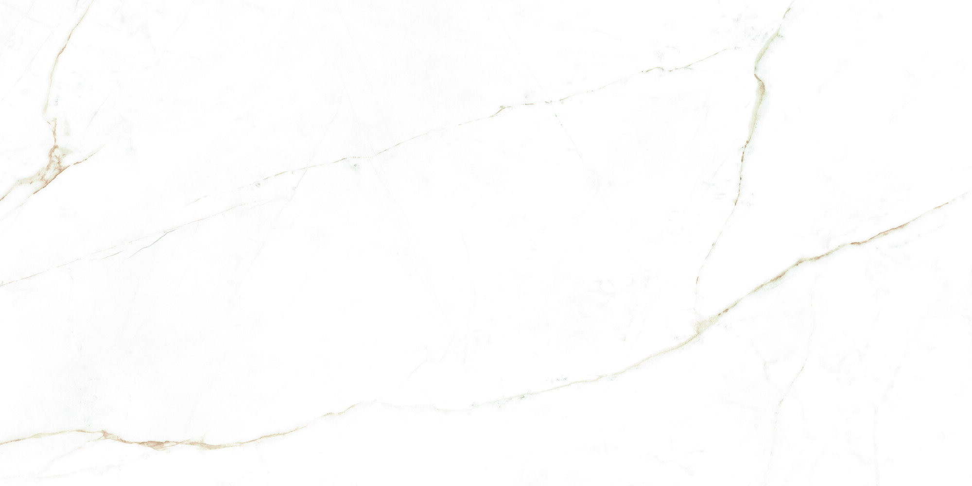 38712 Dual White NT/60X120X0,9/C/R 60x120 Peronda фото 19