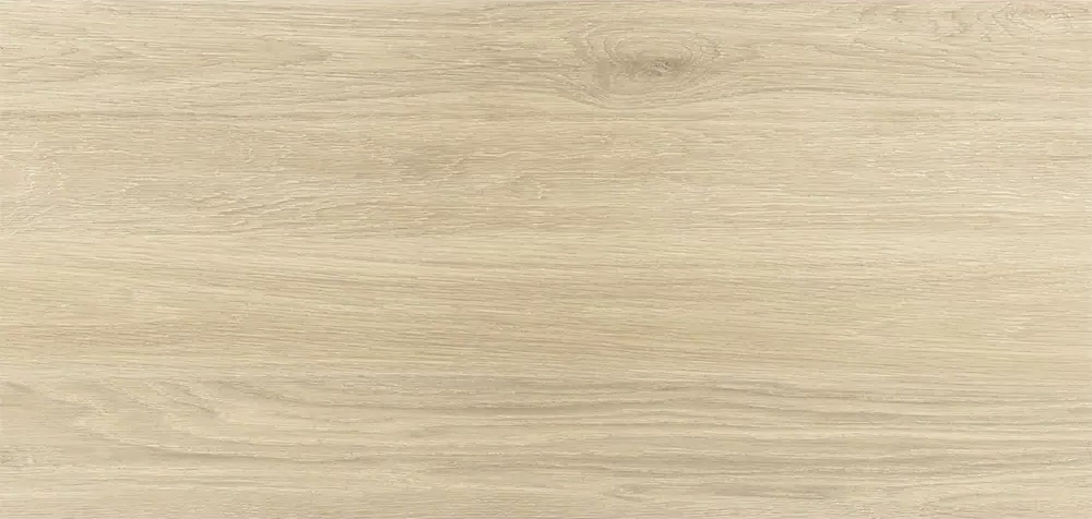 NR12060419-M Вуд Коричневый светлый матовый 1200x600x9.5 ProGRES Ceramica
