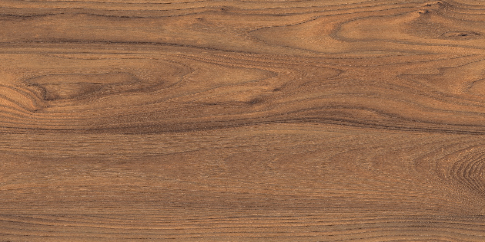 LM 1001 Laminate 60x120 Realistik