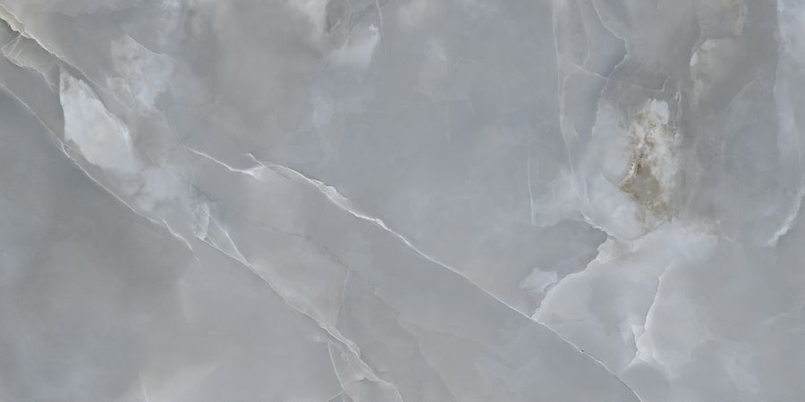 N20522 Jennifer Grey Polished 60x120 Neodom