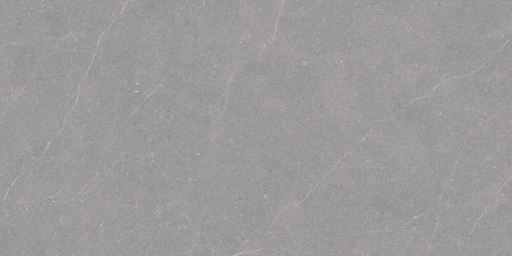 Elenta Grey Carving 60x120 Duna