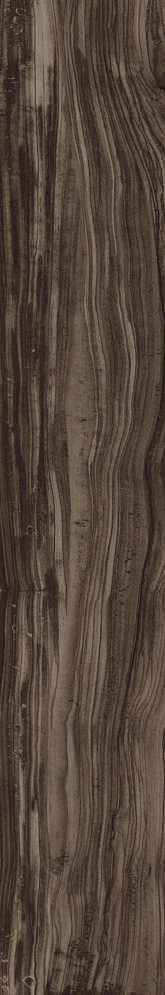 CW-CR01-B Pearsian Wood Charcoal Carving 20x120 Creanza