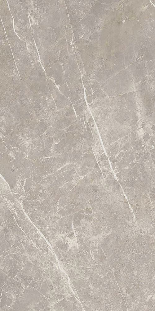 766528 Elemental Grey Dolomia Luc Ret 60x120 Cerim