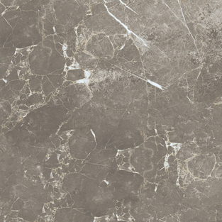 ECE3 Persian Grey Silk RT 60x60 Keope