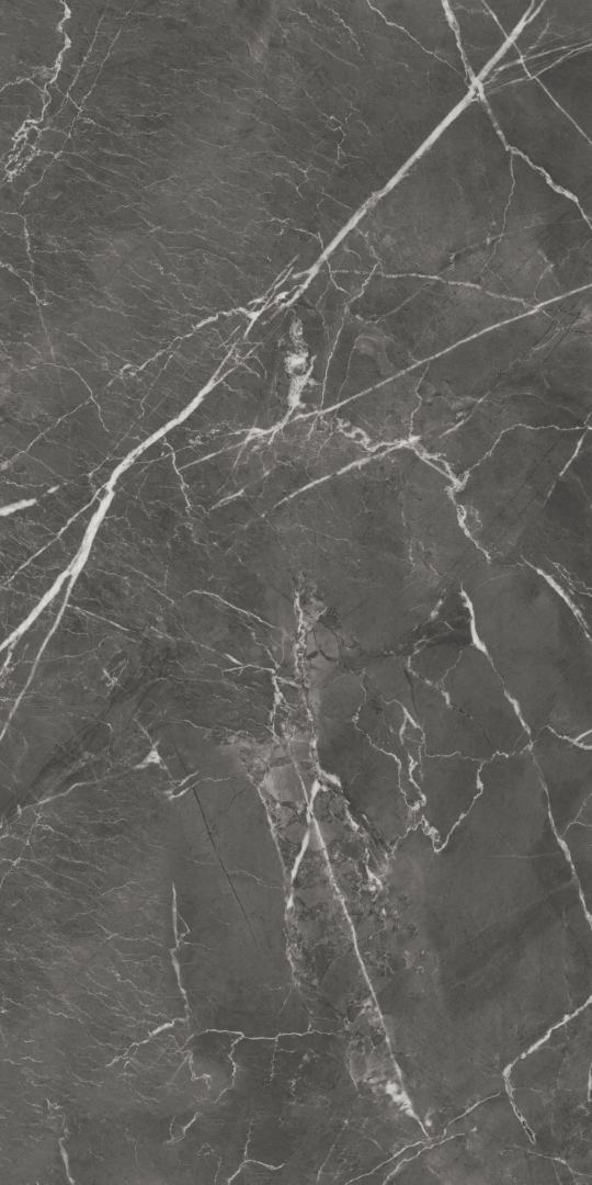 GT1206019809MHRR Oscar Темно-серый матовый 60x120 Global Tile